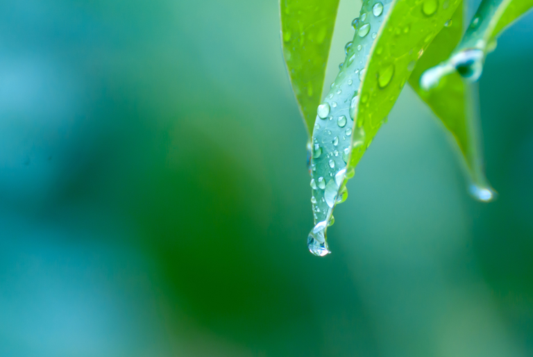 露点的定义及其测量方式?