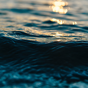 316L 与 904L 不锈钢滤芯有什么区别