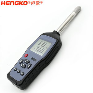 手持数字式温湿度计-DSC-0794