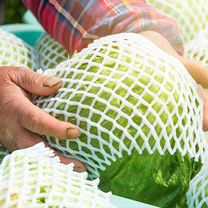 生鲜冷链物流,温湿度监控可不能忽视!