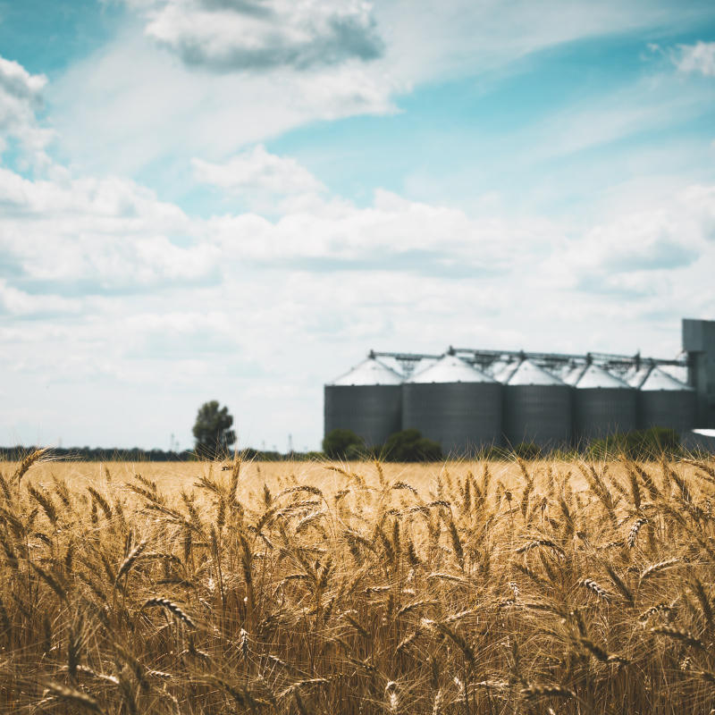 恒歌智能监控温湿度环境监测解决方案 智慧粮仓温湿度监控系统 Featured Image