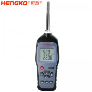 HG970 可拆换探头湿度巡检仪 工业型露点测量仪