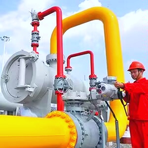 高纯高压气体过滤器的适用范围