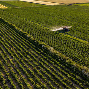 农业大棚温湿度监控系统的升级方案有几种呢?