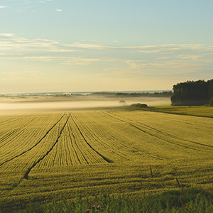 农业大棚温湿度监控系统如何进行升级呢?