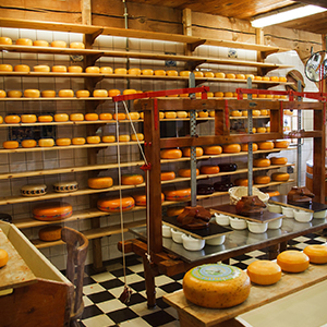 压缩空气系统露点仪用于食品工业