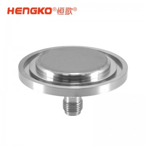 DF系列扩散器专用滤器_316L真空法兰过滤器_工艺气体过滤器