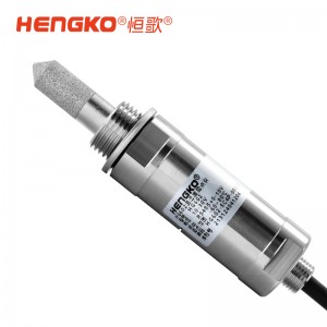 恒歌定制智能精密露点仪_rs485信号输出进口传感器露点测量仪