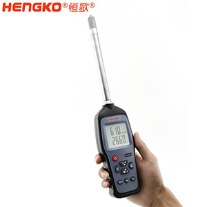 温湿度手持表-DSR-0611