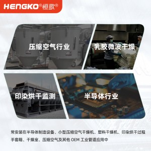 恒歌厂家直销露点变送器_抗污染、抗油能力极强、传感器的响应速度快