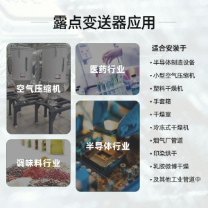 恒歌厂家直销露点传感器_压缩空气系统恒温恒湿系统精密露点仪