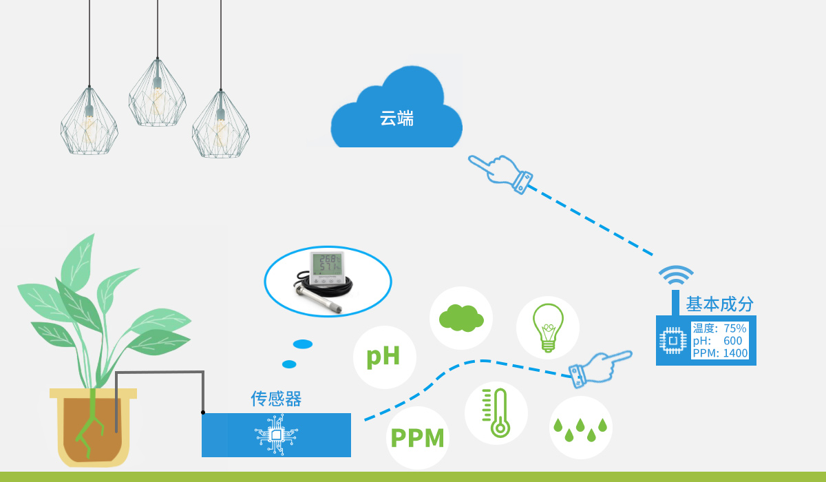 恒歌玻璃温室大棚监测解决方案
