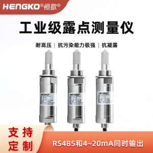 恒歌高灵敏测量精准RS485露点测量仪器_工业级露点测量仪