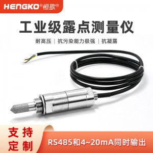 工业露点传感器_恒歌 ±2%RH高精度天然气管道工业露点仪