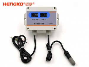 RS485露点 塑胶探头 带显-HG803-2W8P-02温湿度变送器
