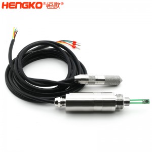 恒歌定制温湿度露点检测仪_rs485接口输出农业大棚在线式露点仪