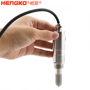 恒歌-温湿度露点探头-DSC_6787