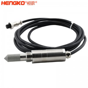 恒歌定制温湿度露点检测仪_rs485接口输出农业大棚在线式露点仪